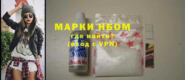 ПСИЛОЦИБИНОВЫЕ ГРИБЫ Арсеньев