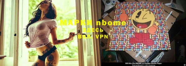 ПСИЛОЦИБИНОВЫЕ ГРИБЫ Арсеньев