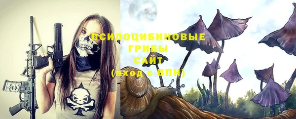 ПСИЛОЦИБИНОВЫЕ ГРИБЫ Арсеньев